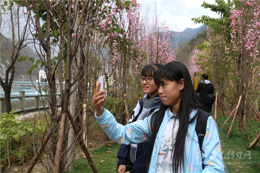 春光俏！“醉”是瀘定春三月，踏青賞花正當(dāng)時