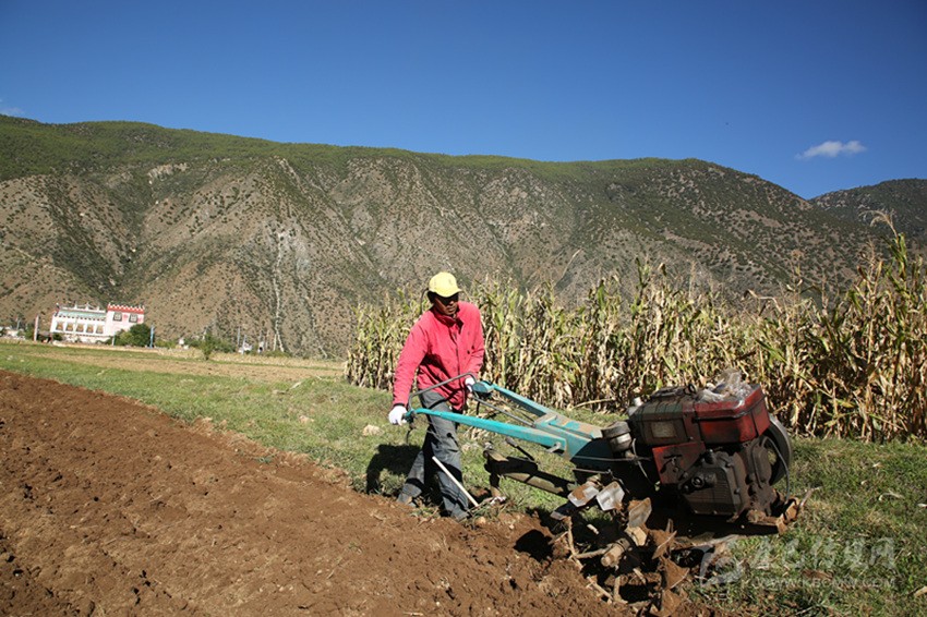田園藏鄉(xiāng)美如畫，百姓脫貧喜在心