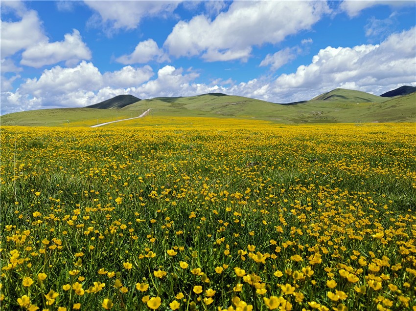 祝?；ê? 任剛.jpg