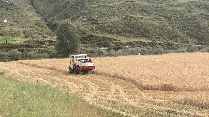 道孚2.jpg 道孚2.jpg