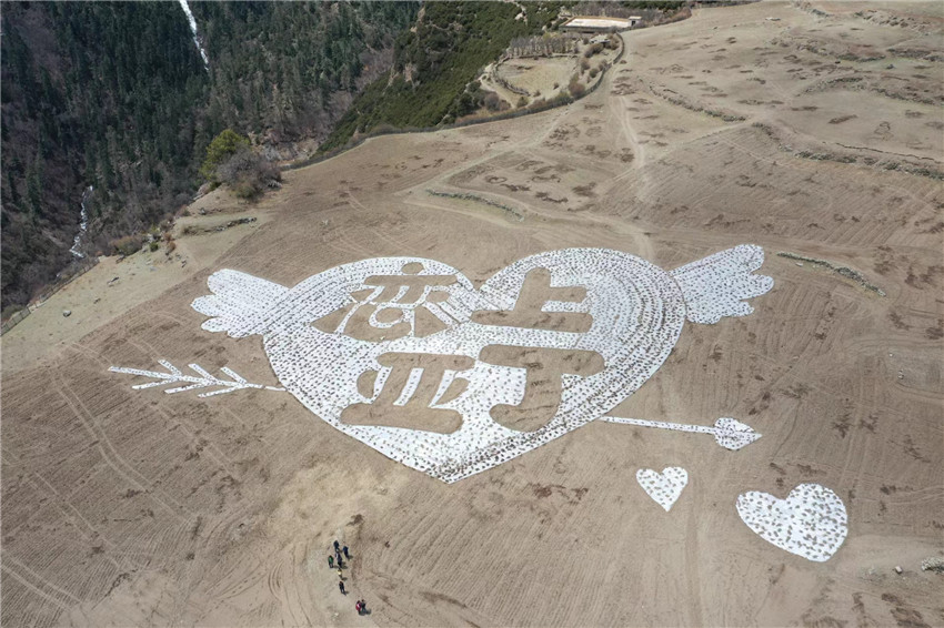 極具特色.jpg 極具特色.jpg